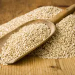 Sesame Seed