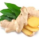 Ginger