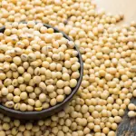 Soya Beans