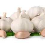 Garlic